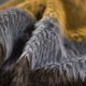 Jacquard Alpaca wool fabric
