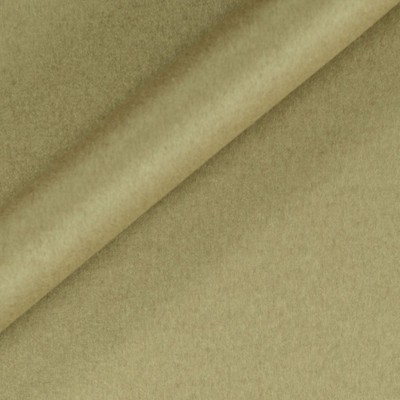 Plain color in pure cashmere