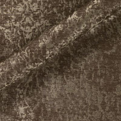 DW61531