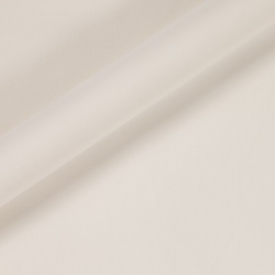 CESM619