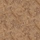 LINV605